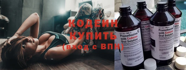 индика Медногорск