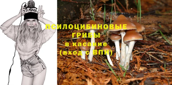 гидра Балабаново