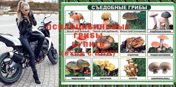 прущий лед Белокуриха