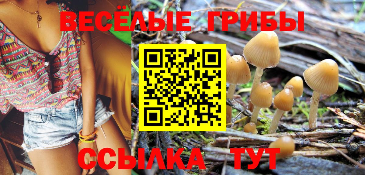 цена   Галлюциногенные грибы Cubensis  Вход с VPN  Дивногорск 