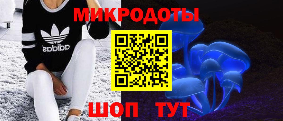 Галлюциногенные грибы прущие грибы  Дивногорск  Псилоцибиновые грибы Magic Shrooms 